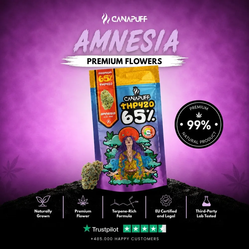 THP420 květy Amnesia 65%