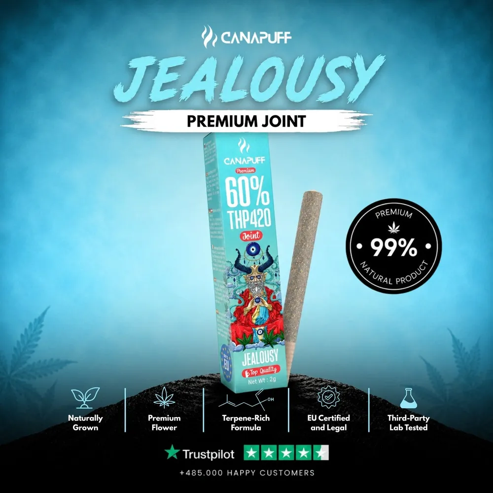 THP420 joint Jealousy 60% 2 g