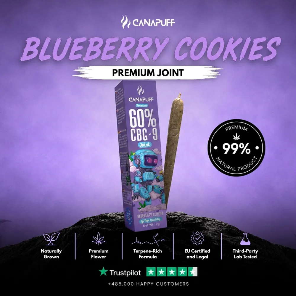 CBG9 joint Blueberry Cookies 60% 2 g