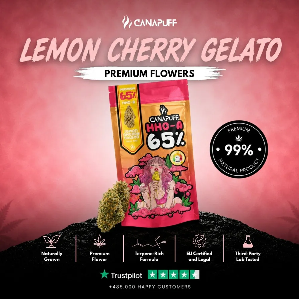 HHC-A květy Lemon Cherry Gelato 65%