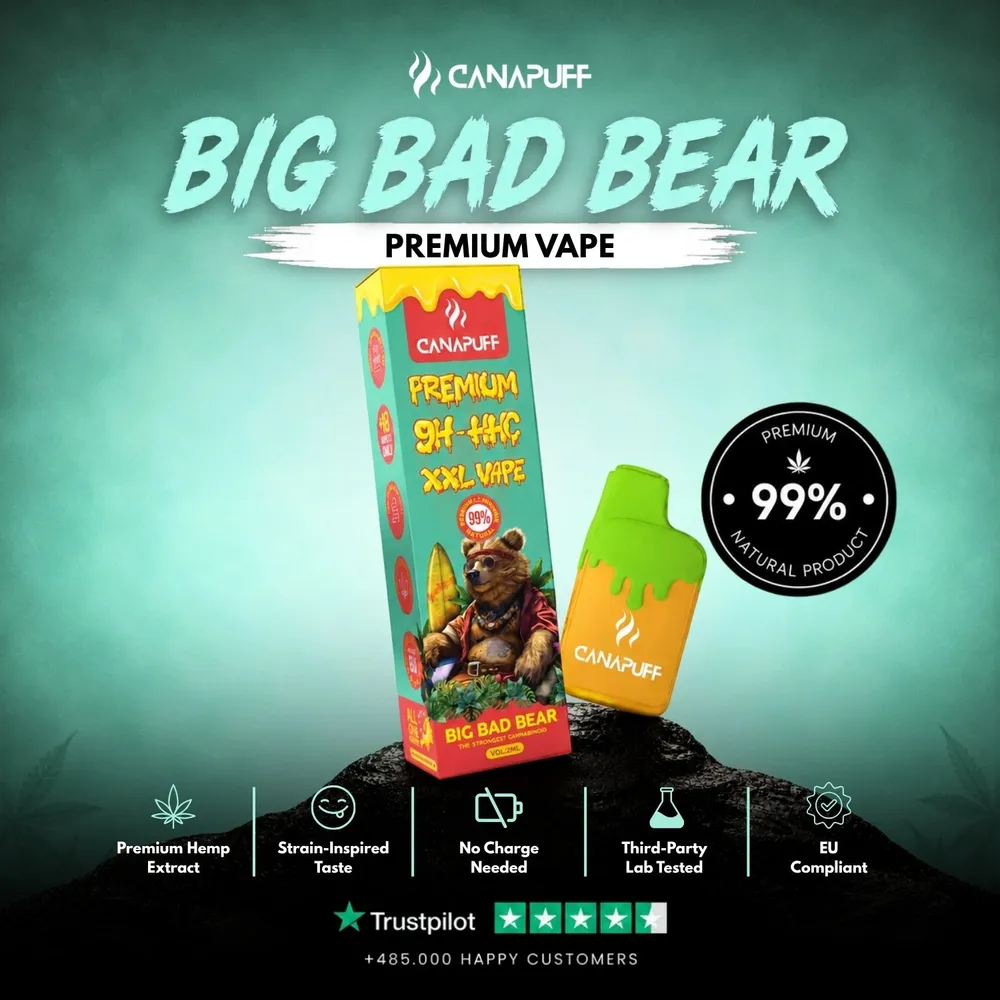 9H-HHC XXL vape Big Bad Bear 99% 2 ml