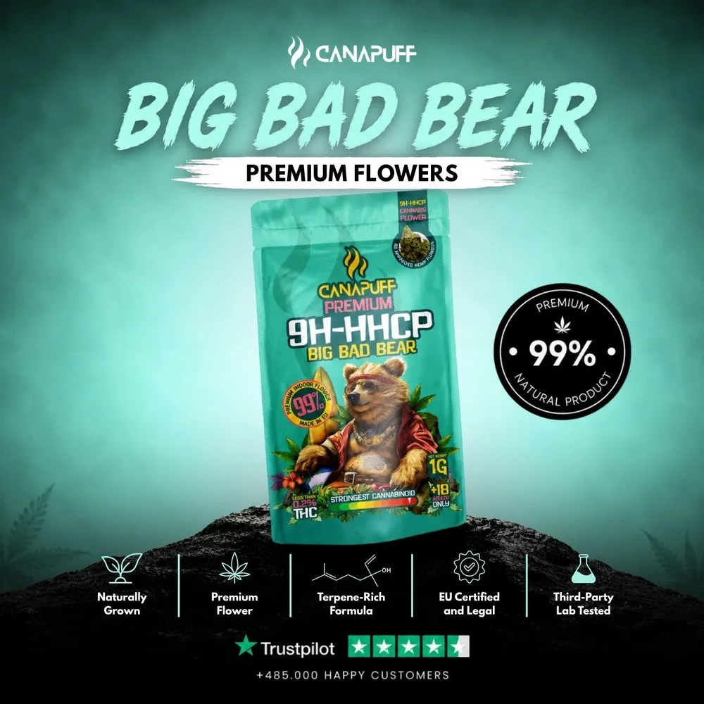 9H-HHCP květy Big Bad Bear 99%