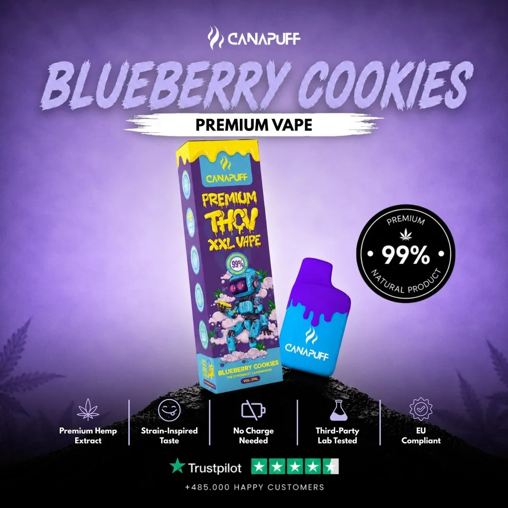 THCv XXL vape Blueberry Cookies 99% 2 ml