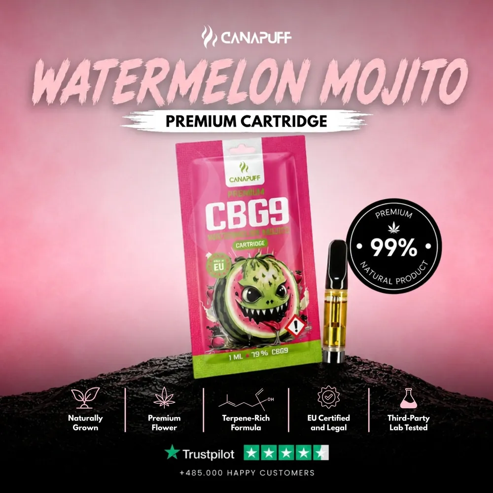 CBG9 cartridge Watermelon Mojito 79%