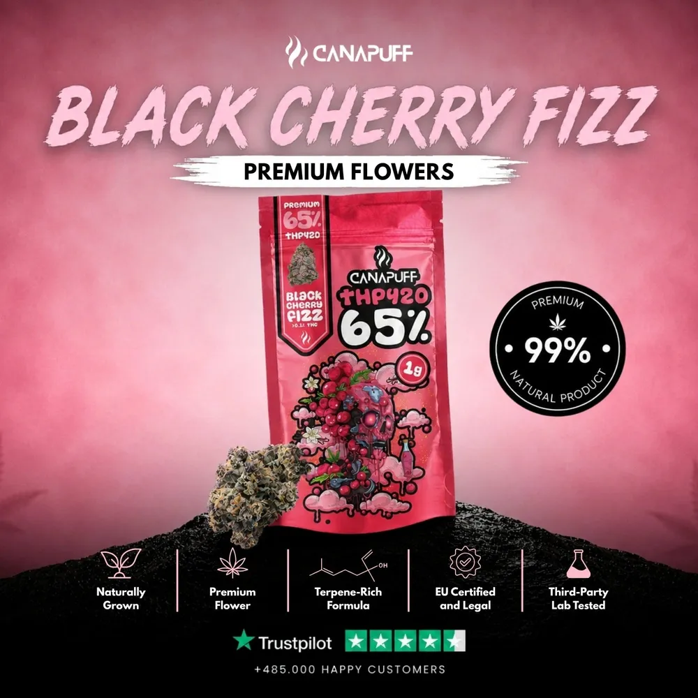 THP420 květy Black Cherry Fizz 65%