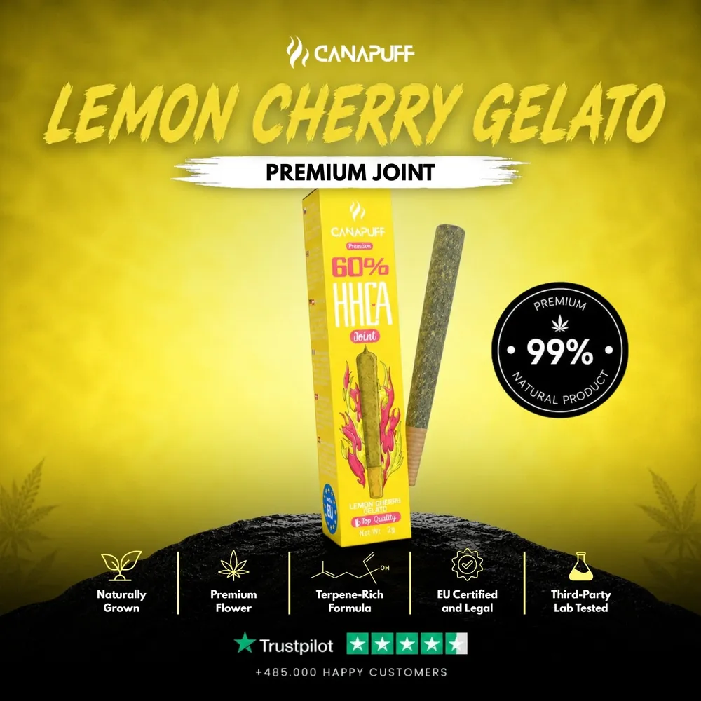 HHC-A joint Lemon Cherry Gelato 60% 2 g