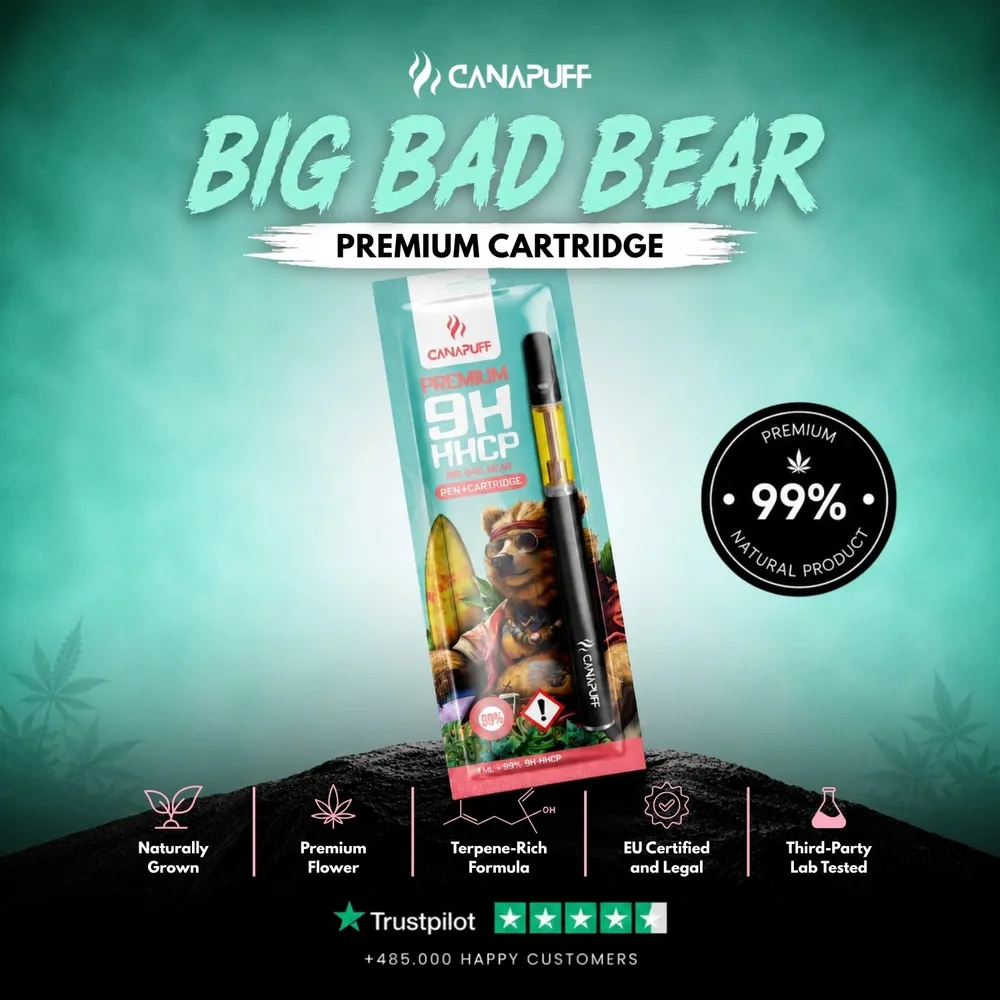 9H-HHCP pen + cartridge Big Bad Bear 99%