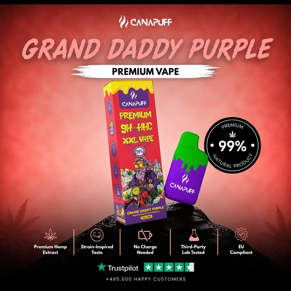 9H-HHC XXL vape Grand Daddy Purple 99% 2 ml