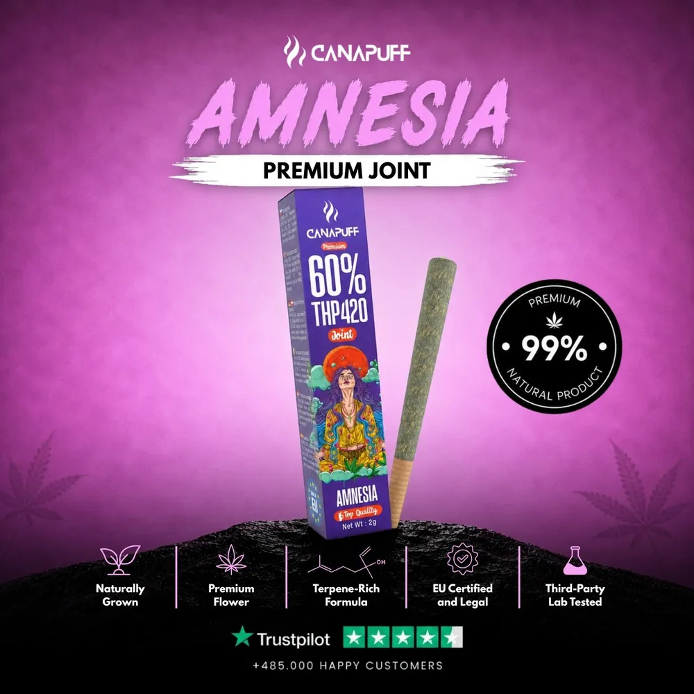 THP420 joint Amnesia 60% 2 g