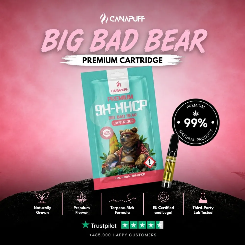 9H-HHCP cartridge Big Bad Bear 99%