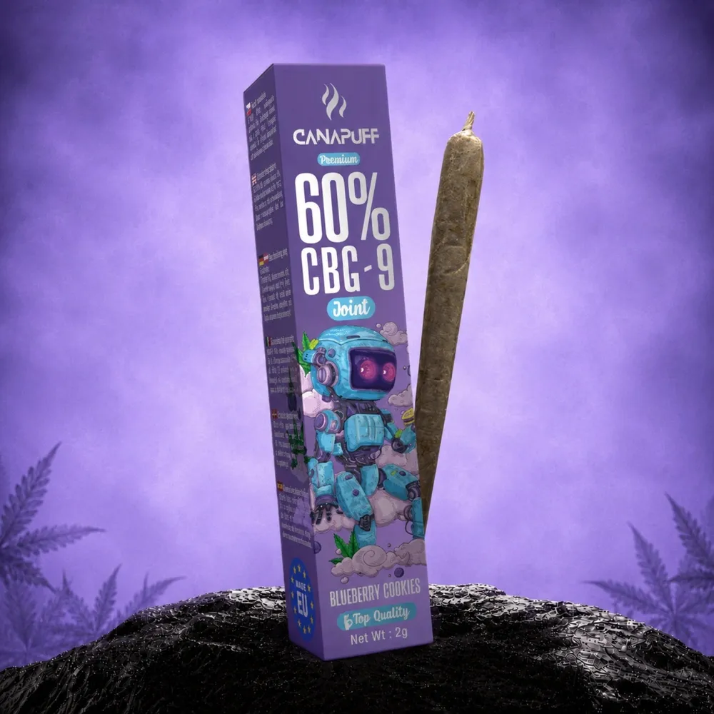 CBG9 joint Blueberry Cookies 60% 2 g