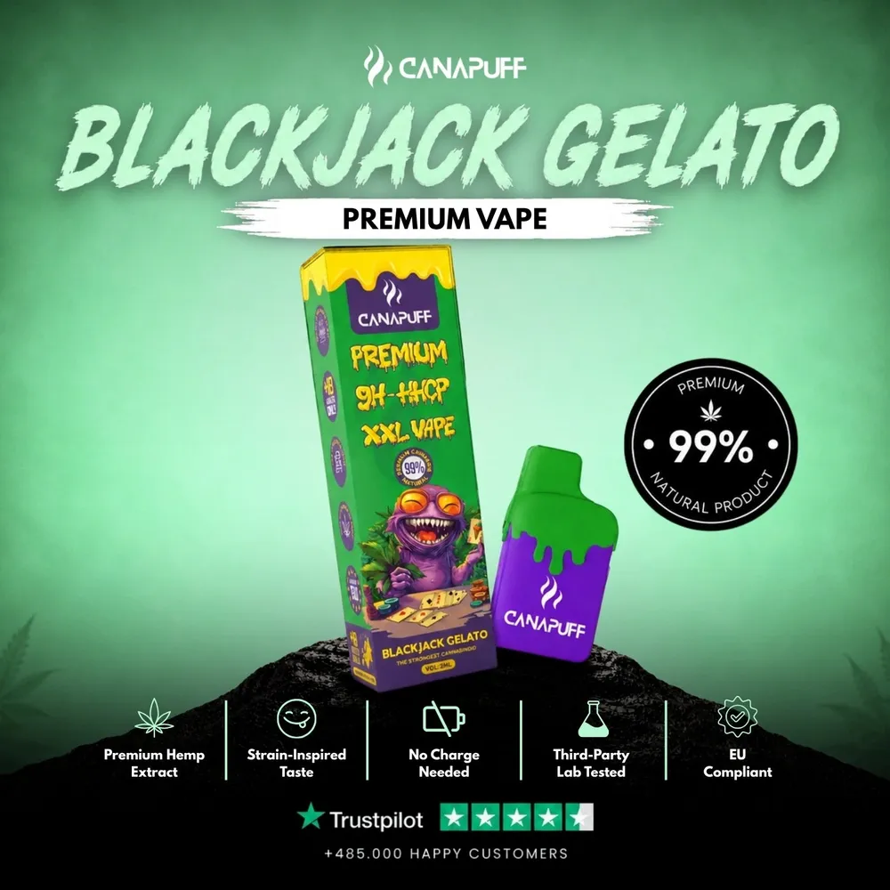 9H-HHCP XXL vape Blackjack Gelato 99% 2 ml