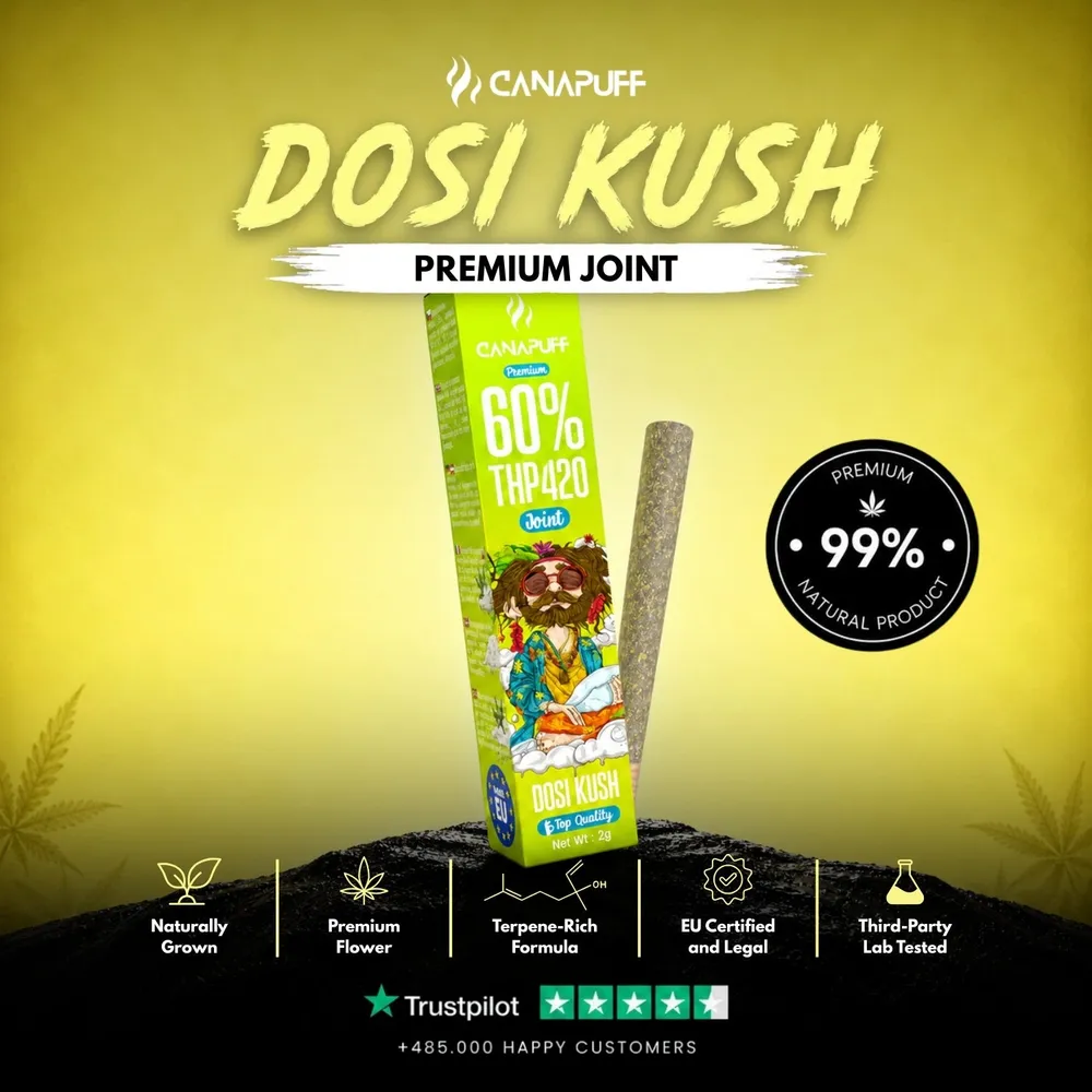 THP420 joint Dosi Kush 60% 2 g