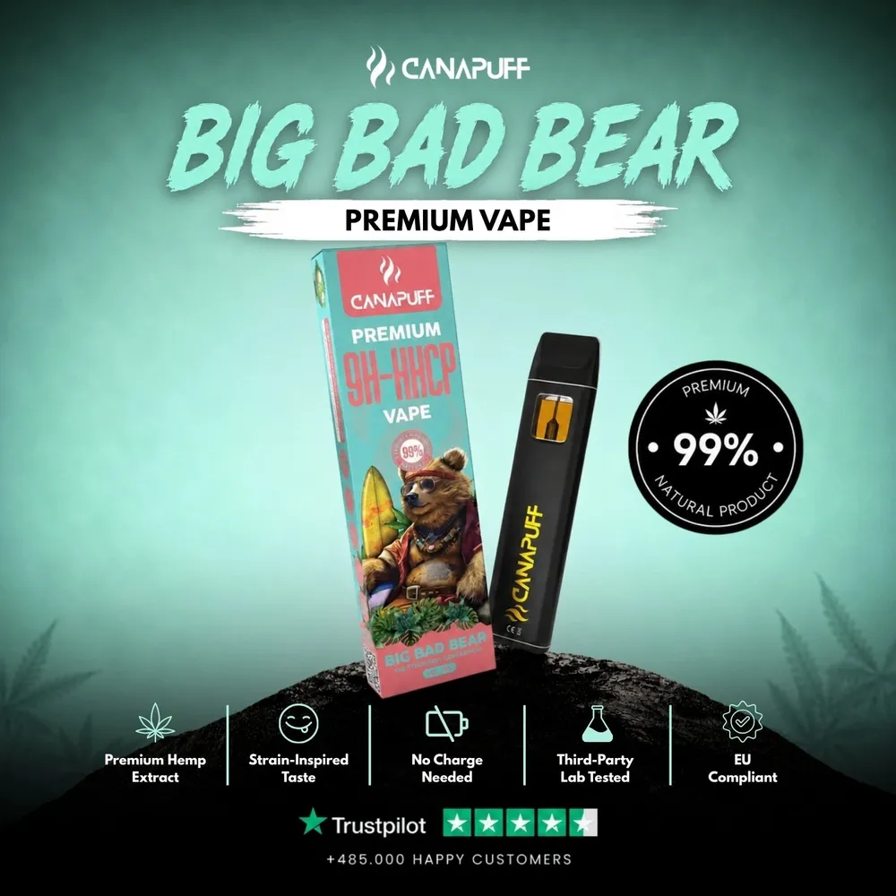 9H-HHCP vape Big Bad Bear 99% 1 ml