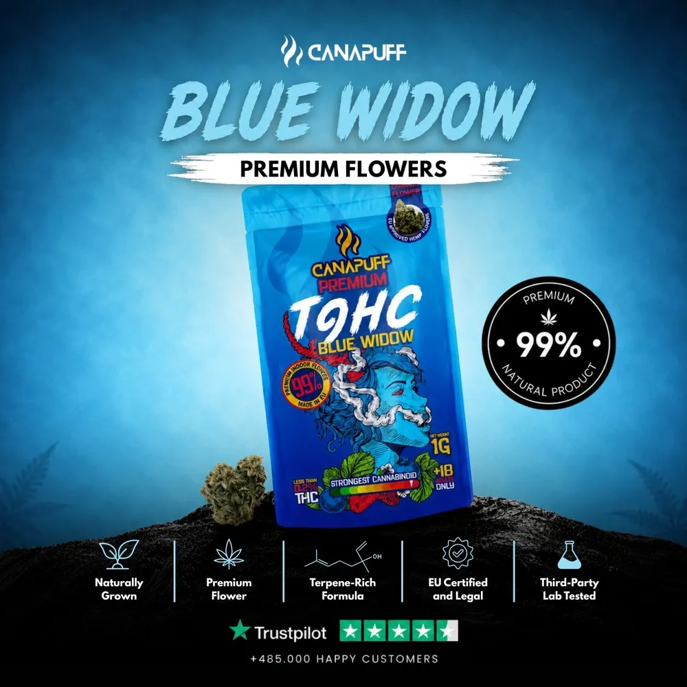 T9HC květy Blue Widow 99%