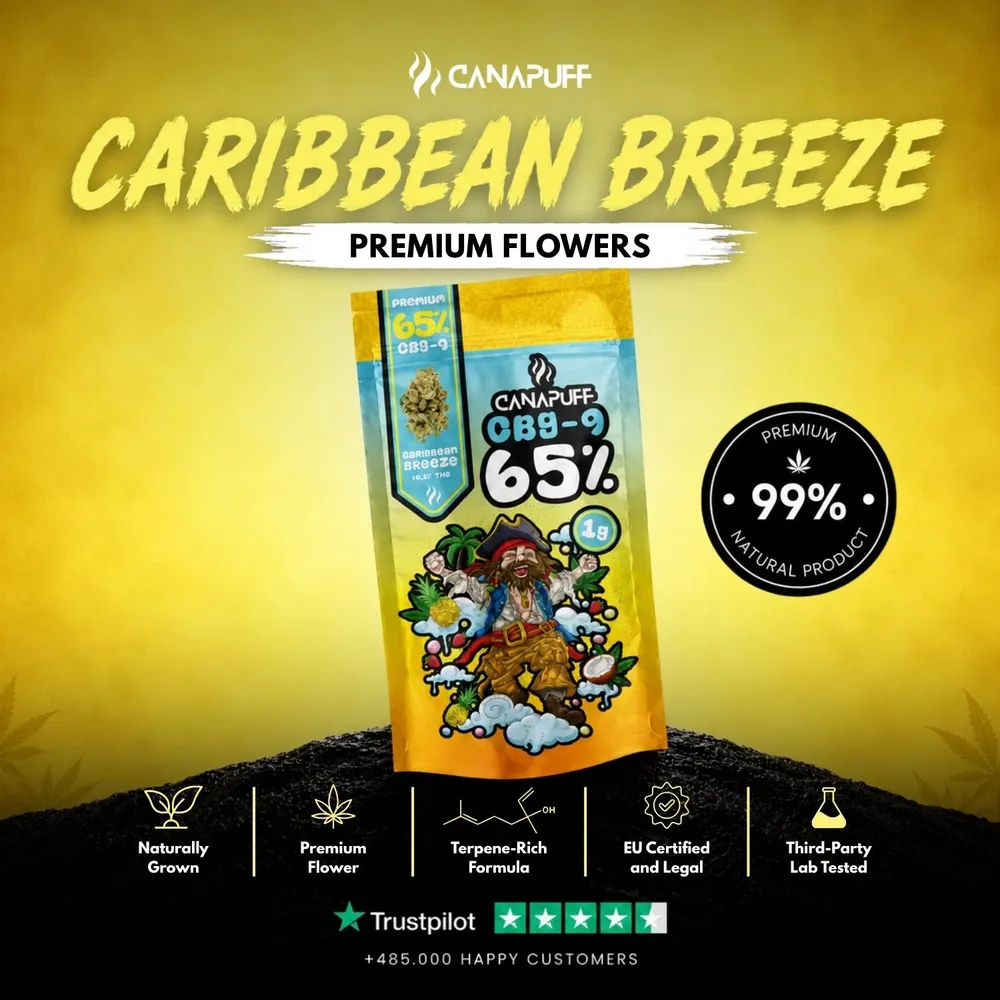 CBG9 květy Caribbean Breeze 65%