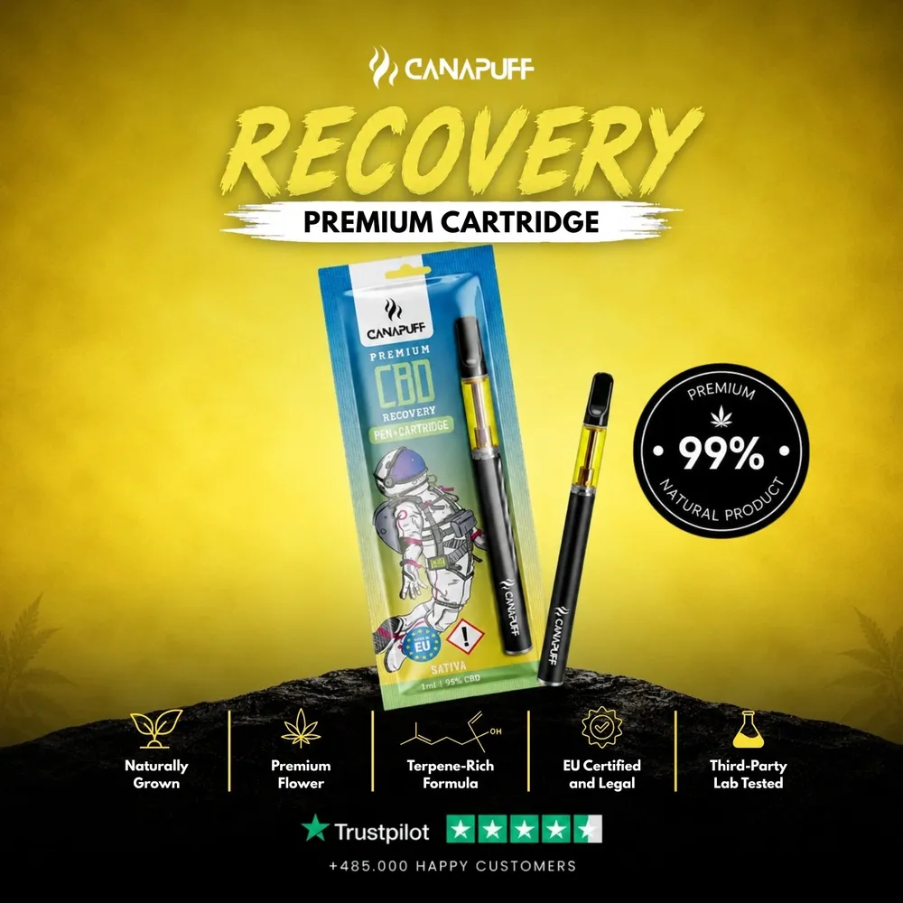 CBD pen + cartridge Recovery 95%