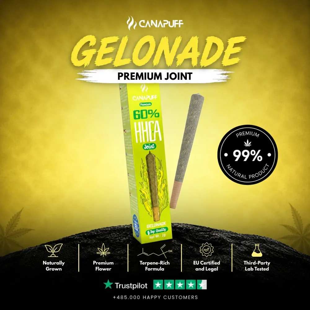 HHC-A joint Gelonade 60% 2 g