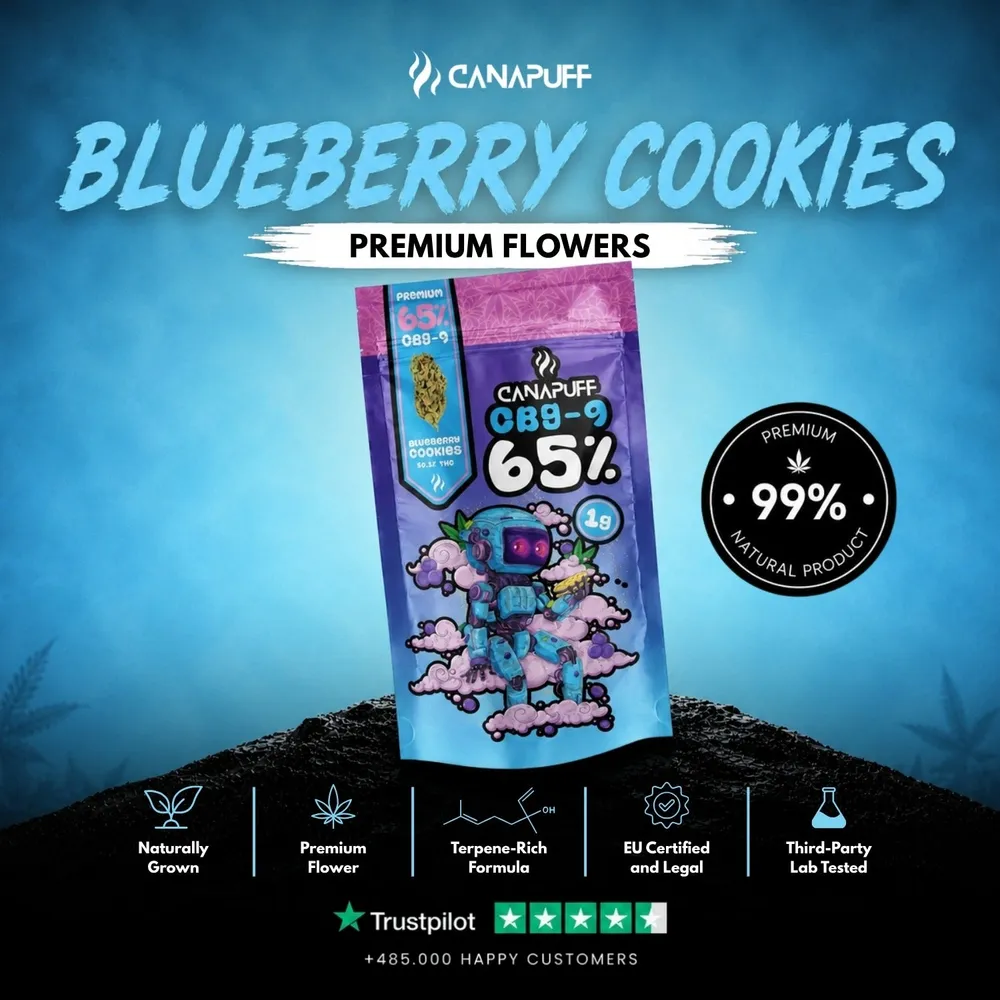 CBG9 květy Blueberry Cookie 65%