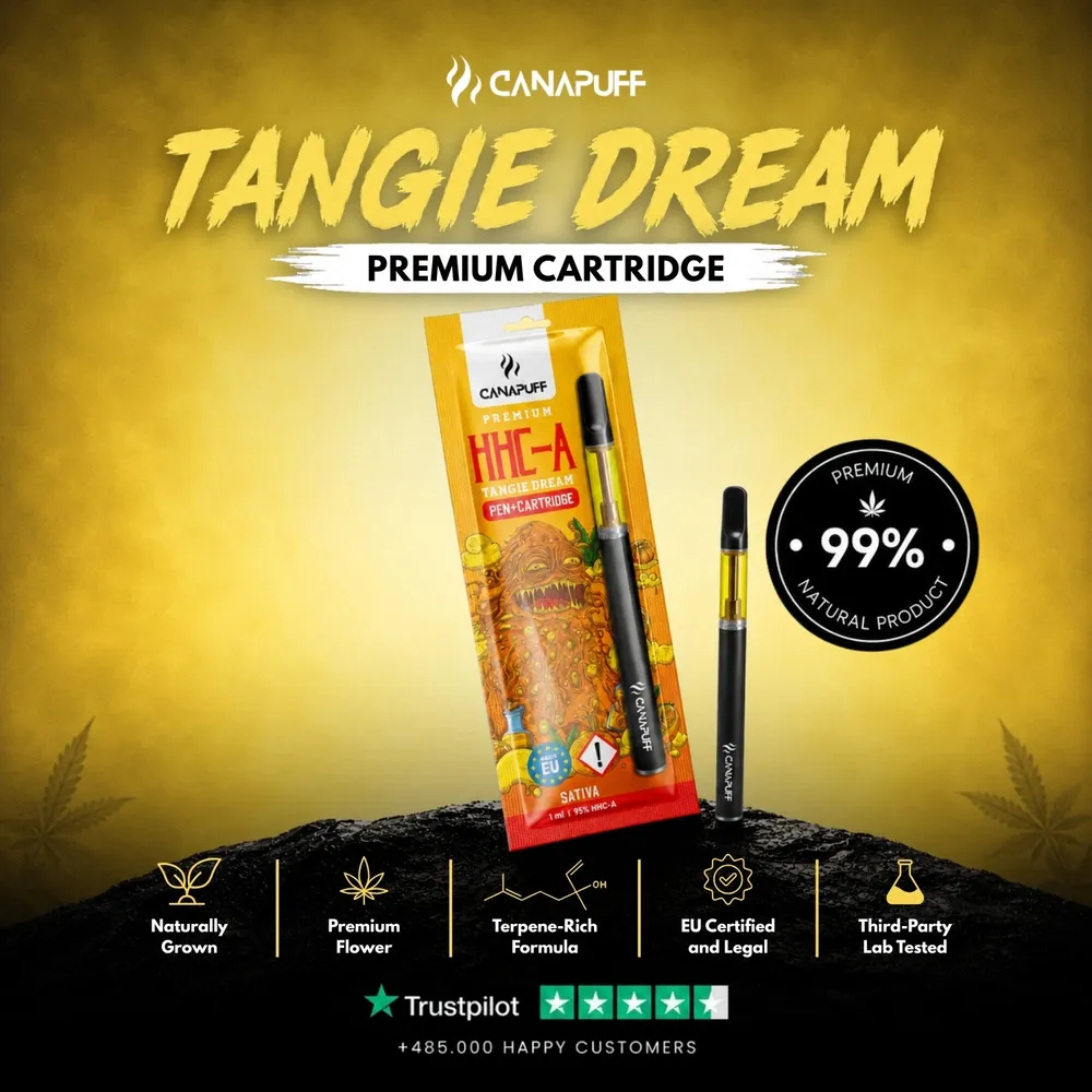 HHC-A pen + cartridge Tangie Dream 95%