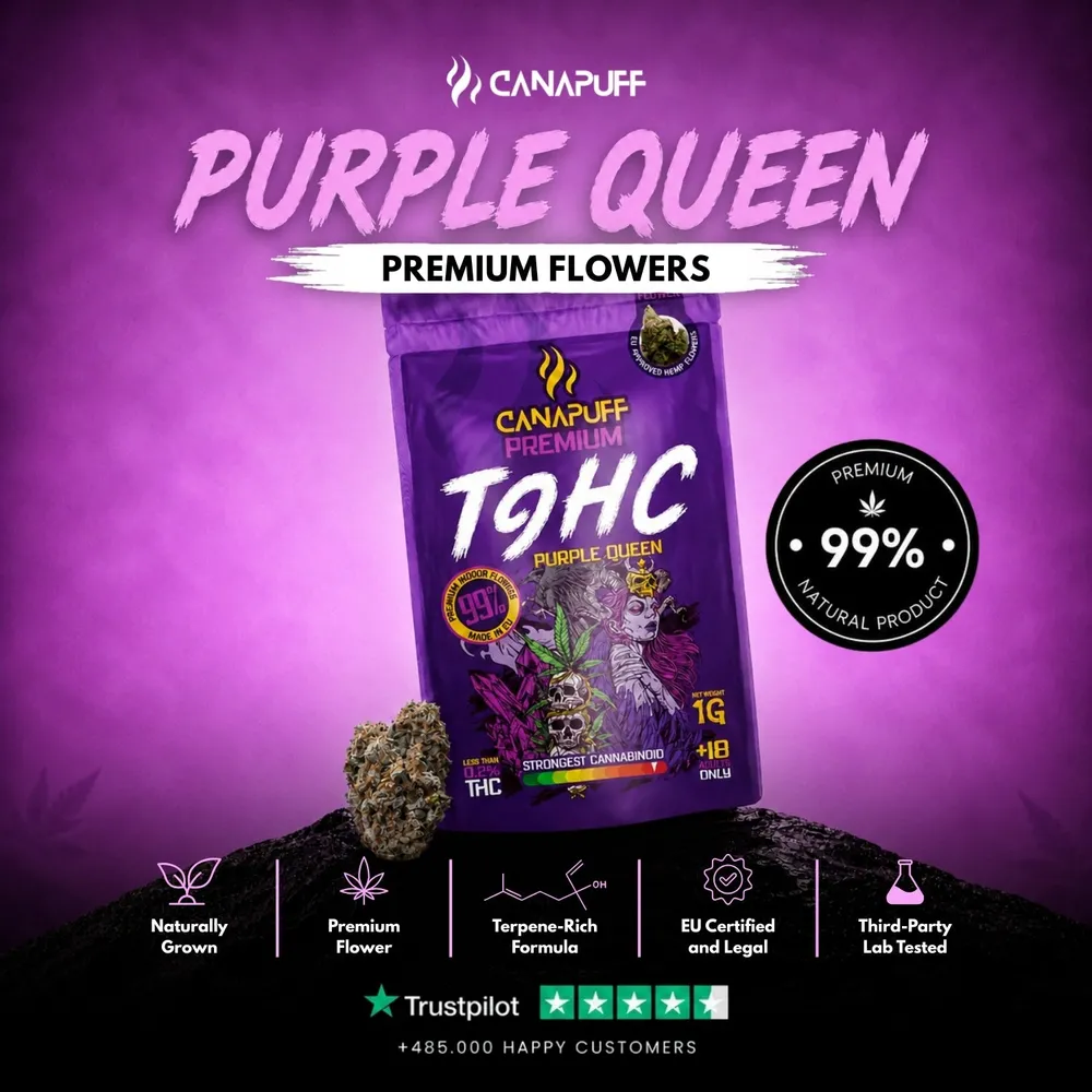 T9HC květy Purple Queen 99%