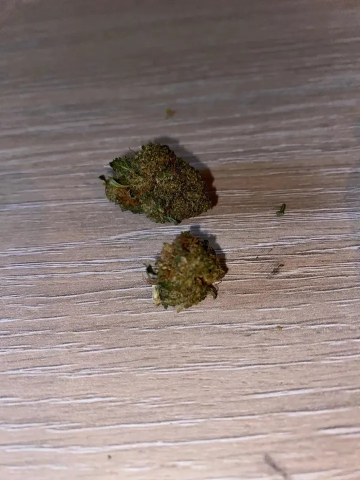 Fotka zákazníka Canapuff