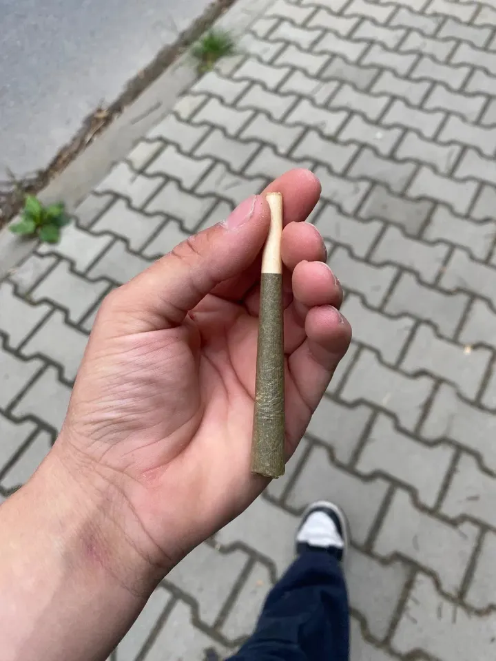 Fotka zákazníka Canapuff